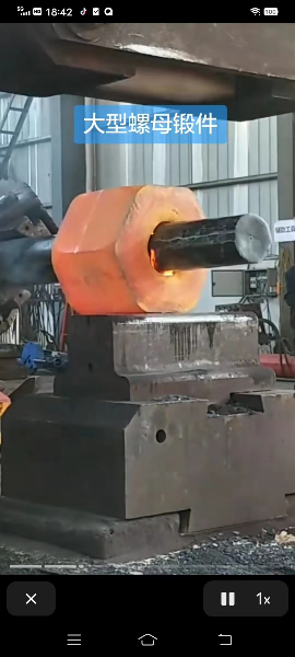 鍛件4.jpg 鍛件4.jpg