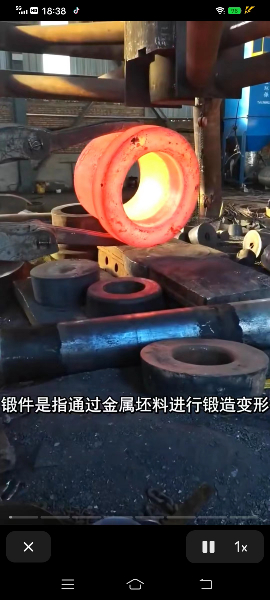鍛件1.jpg 鍛件1.jpg